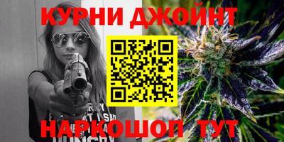 сатива Нальчик