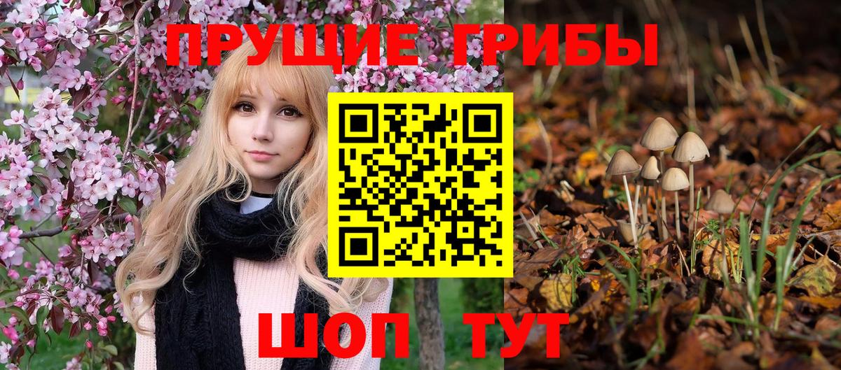 Галлюциногенные грибы ЛСД Унеча